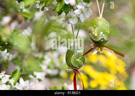 Easter egss hanging on the twig of apple tree in the garden Stock Photo