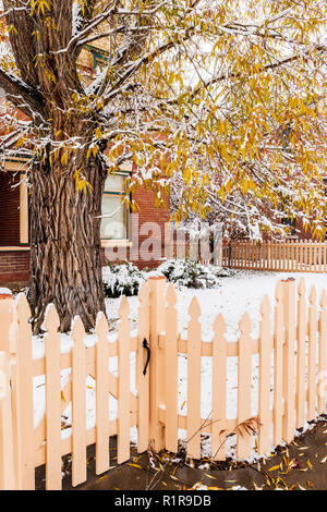 Snow covered wooden picket fence; Cottonwood Tree; 829 F Street; Salida; Colorado; USA Stock Photo