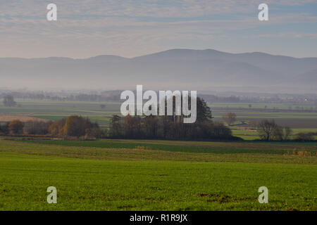 November misty sunny morning Sowie Góry Owl Mountains Lower Silesia ...