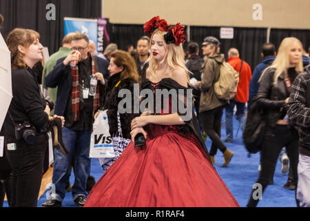 Toronto, CANADA - November 13, 2018: Profusion Expo 2018. For 8 years, ProFusion Expo is a premier event for Canada’s imaging professionals. Photographers and videographers. Credit: Deyan Baric/Alamy Live News