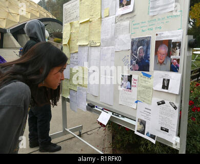 https://l450v.alamy.com/450v/r1rfk0/chico-usa-13th-nov-2018-a-bulletin-board-with-missing-persons-reports-in-front-of-an-emergency-shelter-in-chico-a-neighboring-town-of-paradise-50000-people-had-to-leave-the-danger-zone-more-than-1300-are-scattered-in-emergency-shelters-in-many-places-there-is-no-mobile-phone-reception-its-chaos-to-dpa-paradise-as-hell-on-earth-will-create-a-new-church-of-14112018-credit-barbara-munkerdpaalamy-live-news-r1rfk0.jpg