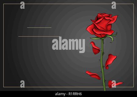 Red rose single flower on dark gray background vector template Stock Vector