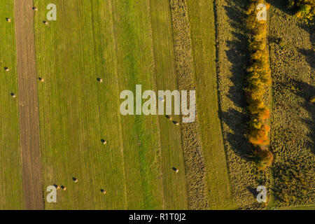 Aerial agricultural pattern view from a drone. Green meadow and hay bales Stock Photo