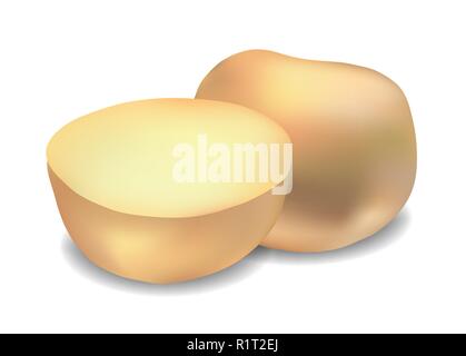 Realistic potatoes vegetable illustration. Isolated on white background. Stock Vector