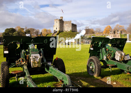 Army Reservists from 104 Regiment Royal Artillery fire a 21-gun salute at Cardiff Castle, to mark the Prince of Wales' 70th birthday. Stock Photo