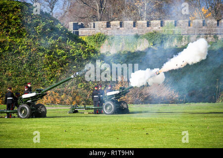 Army Reservists from 104 Regiment Royal Artillery fire a 21-gun salute at Cardiff Castle, to mark the Prince of Wales' 70th birthday. Stock Photo