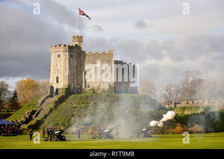 Army Reservists from 104 Regiment Royal Artillery fire a 21-gun salute at Cardiff Castle, to mark the Prince of Wales' 70th birthday. Stock Photo