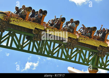 Tampa, Florida; September 19, 2018. Young people on Cheetah Hunt Roller Coaster on Summer Holidays at Bush Gardens Theme Park. Stock Photo