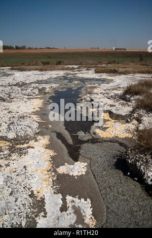 Natural environment polluted by mining activities in Witbank, South Africa. This image is part of a larger body of work about how historic mining activities have affected the environment, water resources and communities in South Africa. The photographer also produced a large-scale photo exhibition and book called 'An Acid River Runs Through It' from selects of this material. Photo: Eva-Lotta Jansson Stock Photo
