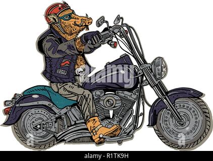 Wild boar on motorbike. Biker, motorcyclist. Symbol of 2019 - year of a pig. Retro style graphic illustration. Sticker, poster, t shirt print, tattoo. Rock music, heavy metal. Stock Vector