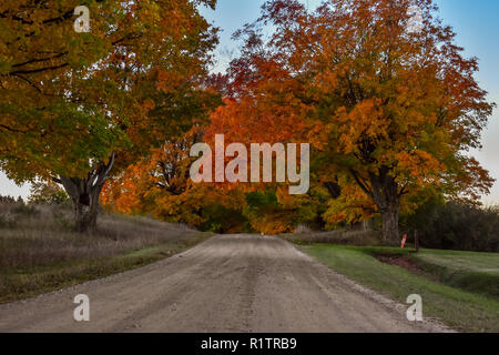 Rural country road, the fall colors were just beginning to show in the area. This road is in the middle of some state hunting land. Taken in October Stock Photo