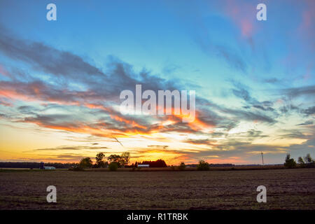 Sunset in Rural Midwest, Michigan. The farmland in the foreground was a wheat field and you can also see a cornfield almost ready for harvest. Stock Photo