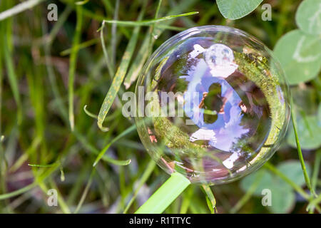 Beautiful soap bubble on the grass with reflection of the photographer Stock Photo