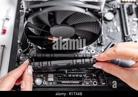 Installing random access memory into PC. Stock Photo
