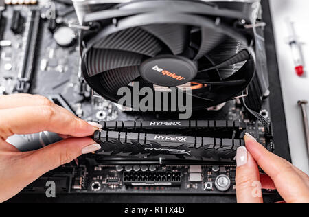 Installing random access memory into PC. Stock Photo
