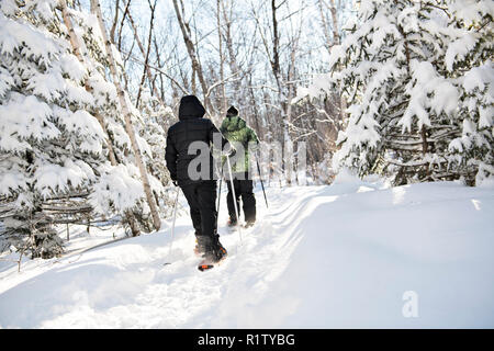 Two snowshoes people in forest from back Stock Photo