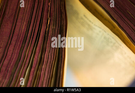 The open old bible book. Stock Photo