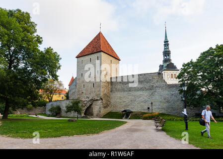 Maiden Tower, Tallinn, Harju County, Estonia, Baltic states, Europe. Stock Photo