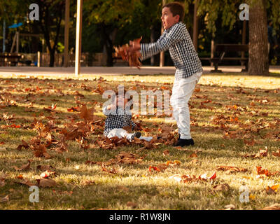 Two brother boys playing with the leaves of the trees fallen on the ground in a park in autumn Stock Photo