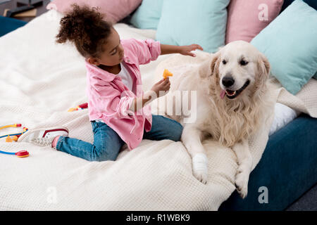 Cute african american kid playing doctor with her dog Stock Photo