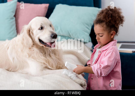 Cute african american child bandages paw dog Stock Photo