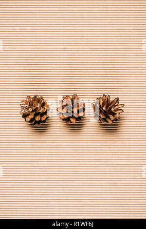 top view of three pine cones on the textured background Stock Photo