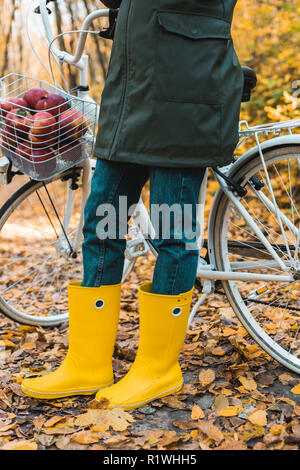 cropped image of woman in yellow rubber boots standing near bicycle with basket full of apples in autumnal forest Stock Photo