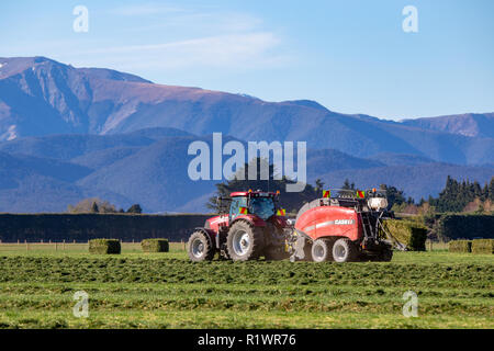A red tractor and a baler working in a rural field in New Zealand making hay in the springtime Stock Photo