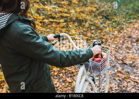 cropped image of woman carrying bicycle with basket full of apples in yellow autumnal forest Stock Photo