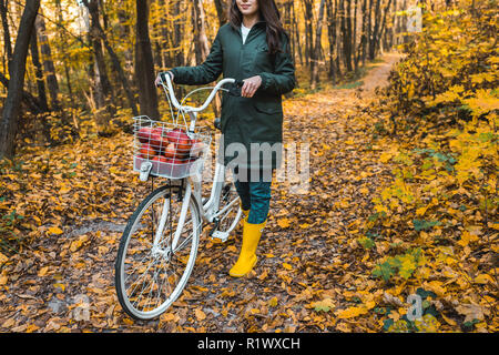 partial view of woman carrying bicycle with basket full of apples in yellow autumnal forest Stock Photo