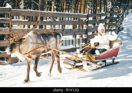 Woman in Reindeer sledding in Finland in Lapland in winter. Stock Photo