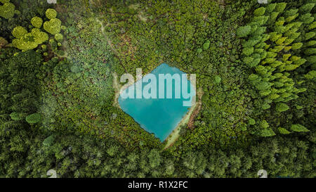 Aerial drone view of natural pond surrounded by pine forest in Madeira island, Portugal. Stock Photo