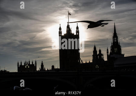 A silhouetted skyline of a seagull flying over the Houses of Parliament, Palace of Westminster, London, United Kingdom