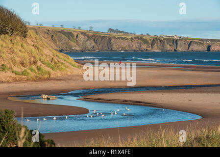 Lunan Water snakes out to the North Sea bisecting Lunan Bay beach, Angus, Scotland. Stock Photo