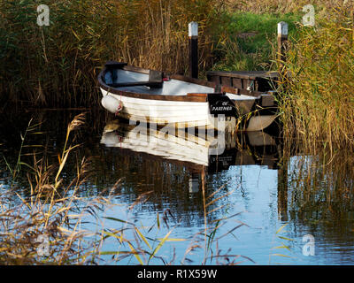 Boat moored in the narrow cut of West Somerton staithe, a remote part of the Norfolk Broads accessed via the River Thurne and Martham Broad. Stock Photo