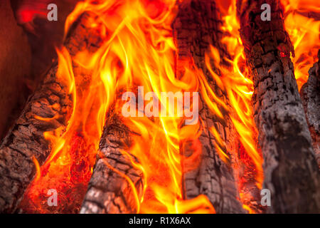 wood fire and flames Stock Photo