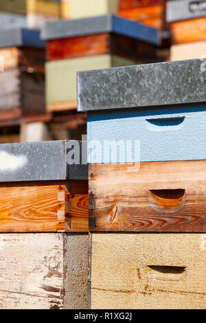 Beehives. Traditional colored wooden box. Muniellos, Asturias, Spain. Vertical Stock Photo