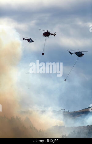 Helicopters fighting fire at Burnside, Dunedin, South Island, New Zealand  Stock Photo - Alamy