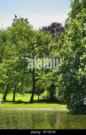 Slottsparken - Palace Park in Oslo. Norway Stock Photo