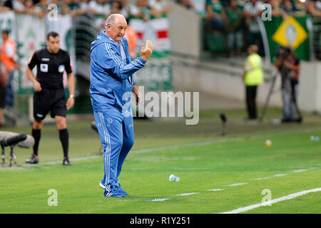 Sao Paulo, Brazil. 14th Nov, 2018. PALMEIRAS X FLUMINENSE - Referee Braulio  da Silva Machado (SC) and assistants Kleber Lucio Gil (Fifa-SC) and Helton  Nunes (SC) between the captains, Digão and Bruno