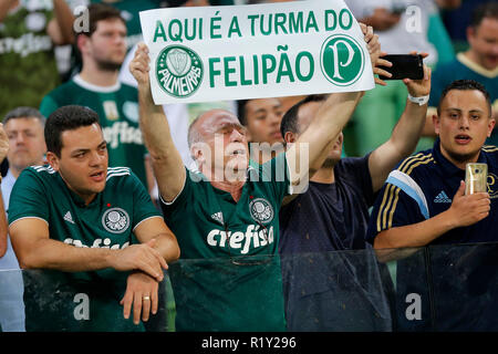 Sao Paulo, Brazil. 14th Nov, 2018. SP - Sao Paulo - 14/11/2018 - Brazilian A 2018 - Palmeiras X Fluminense - Palmeiras fans in the match against Fluminense at Arena Allianz Parque stadium for the Brazilian championship A 2018. Photo: Daniel Vorley/AGIF Credit: AGIF/Alamy Live News Stock Photo