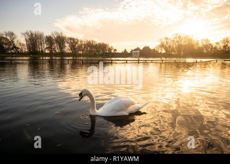 Blackpool UK, 15th November 2018. Weather news. The weather is mild and sunny in Blackpool today. Plenty of people out enjoying the autumnal sunshine, and the wildlife seems to be enjoying it too. Credit: gary telford/Alamy Live News Stock Photo