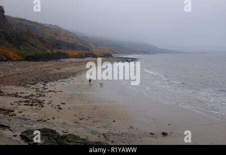 Lyme Regis UK 15th November 2018 - A dog walker on the beach near Lyme Regis despite the misty dull weather along the Jurassic coastline in Dorset today Credit: Simon Dack/Alamy Live News