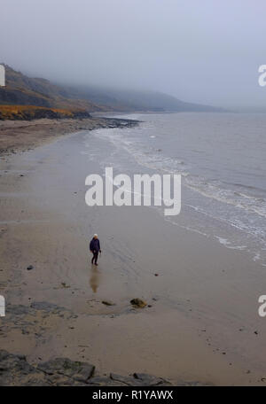 Lyme Regis UK 15th November 2018 - A dog walker on the beach near Lyme Regis despite the misty dull weather along the Jurassic coastline in Dorset today Credit: Simon Dack/Alamy Live News