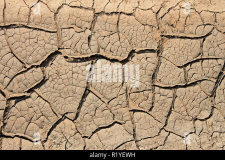 Many cracks in the dried soil in arid season as a texture Stock Photo