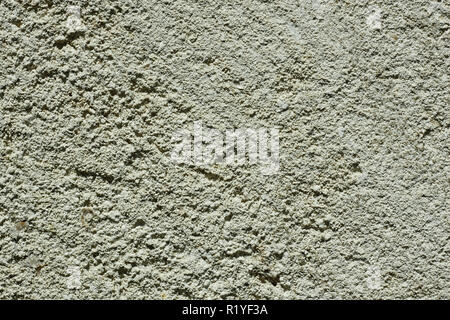 Section of limestone closeup as a texture Stock Photo