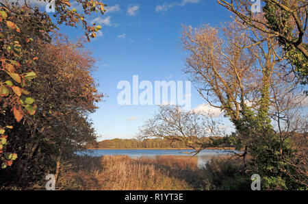 A view of Ormsby Little Broad in autumn on the Norfolk Broads from the A1064 road at Filby, Norfolk, England, United Kingdom, Europe. Stock Photo