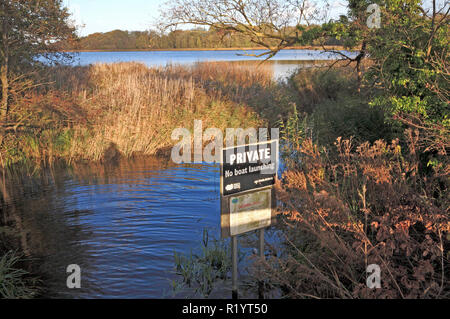 A view of Ormsby Little Broad in autumn on the Norfolk Broads from the A1064 road at Filby, Norfolk, England, United Kingdom, Europe. Stock Photo