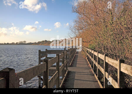 A view of Filby Broad with boardwalk on the Norfolk Broads at Filby, Norfolk, England, United Kingdom, Europe. Stock Photo