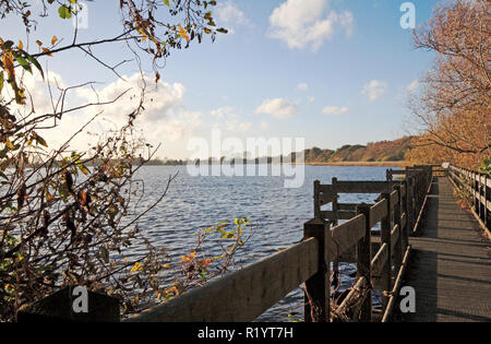 A view of Filby Broad with boardwalk on the Norfolk Broads at Filby, Norfolk, England, United Kingdom, Europe. Stock Photo